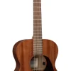 000 Jr E Sapele