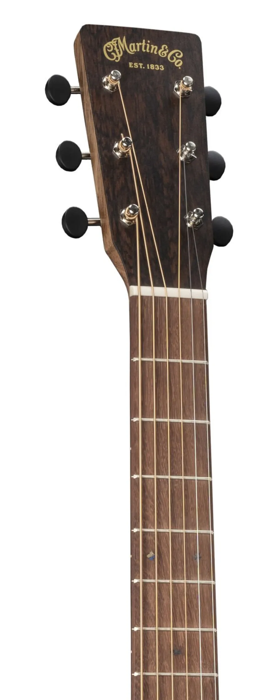 000 Jr E Sapele
