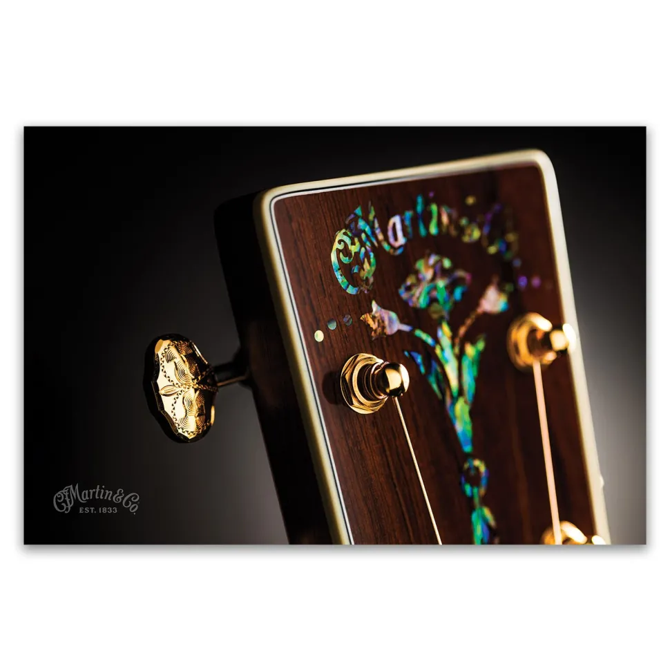 Abalone Headstock Poster
