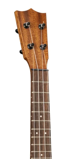 Centennial Concert Uke