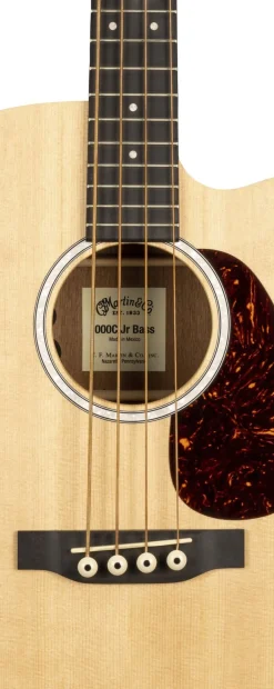 000CJR-10E Bass