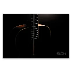Custom Shop Silhouette Poster