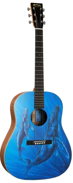 DSS Biosphere® II