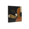 Inventing the American Guitar