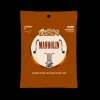 Mandolin Strings 80/20 Bronze