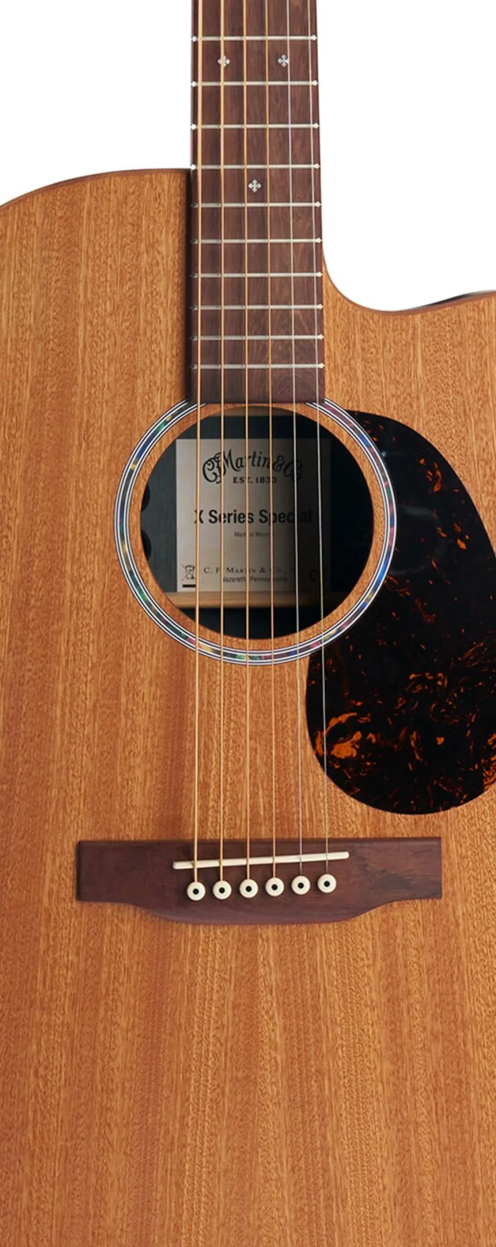 OMC-X2E Ziricote
