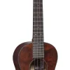 1T IZ Tenor Uke